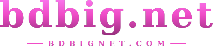 bdbig.net logo